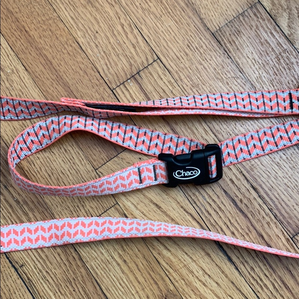 Chaco dog leash